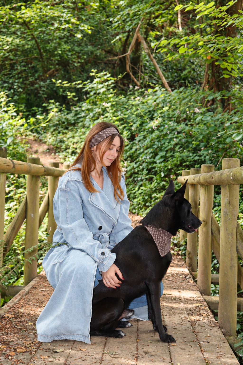 Complicité entre une femme et son chien